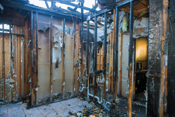 Professional Fire Damage Removal technician working in Bristol, IN